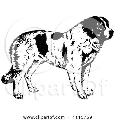 450x470 Clipart Retro Vintage Black And White St Bernard Dog In Profile