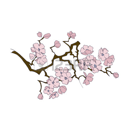 450x450 Design Constructor Japan Sakura Cherry Branch With Blooming
