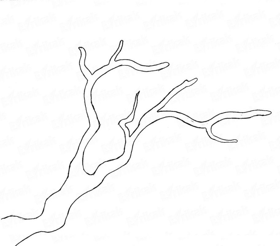 912x800 Cherry Blossom Tattoos