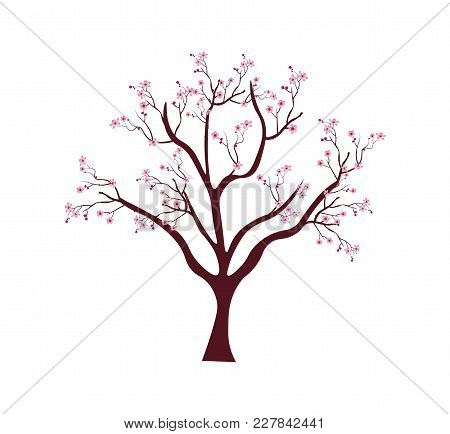 450x434 Sakura Images, Illustrations, Vectors