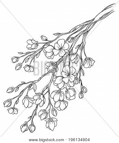 392x470 Vector Hand Drawing