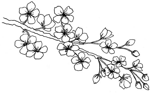 600x373 Beccy's Place Free Digi