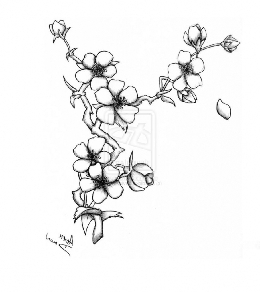 912x1024 Drawing Flower Cherry Blossom Sakura Flower Drawing Spring Cherry