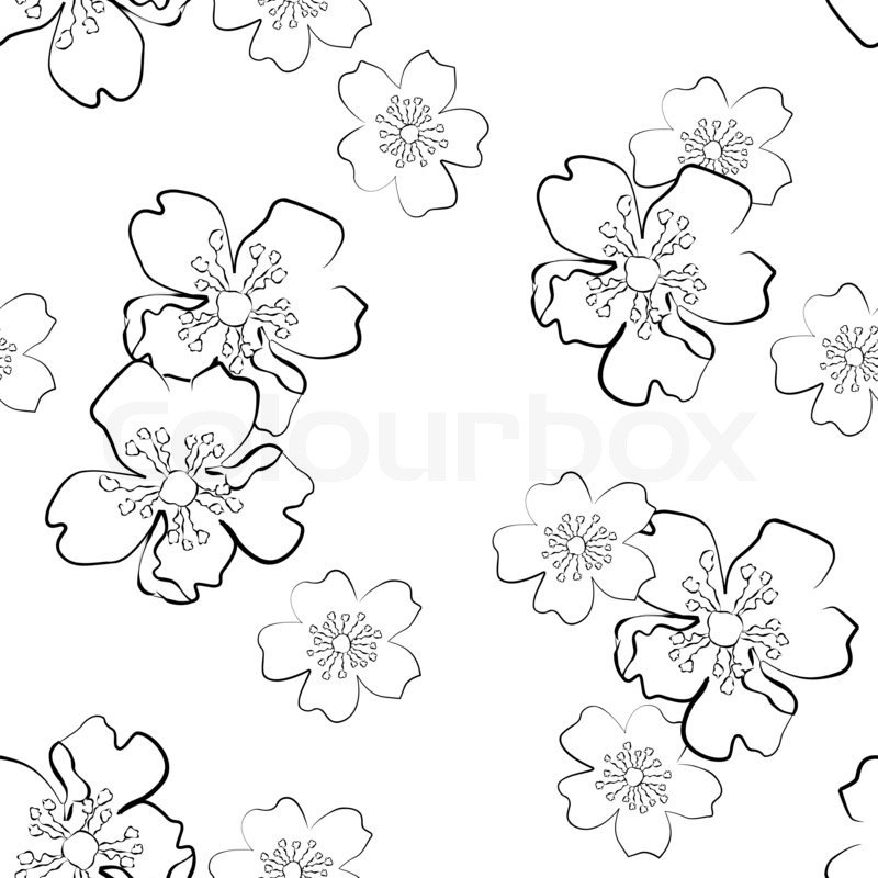 800x800 Seamless Background With Isolated Sakura Flowers In Sketch Style