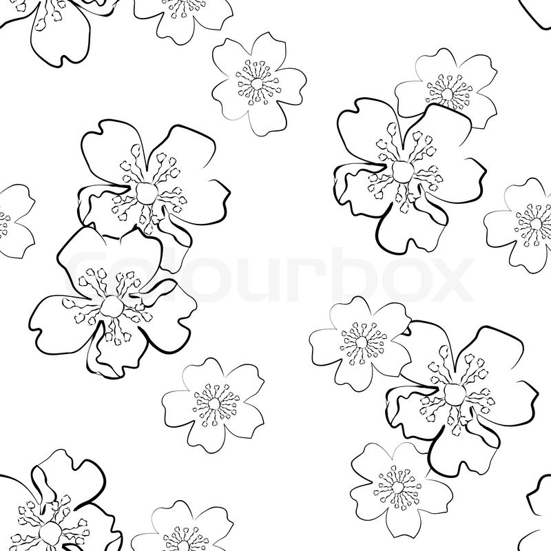 800x800 Seamless Background With Isolated Sakura Flowers In Sketch Style