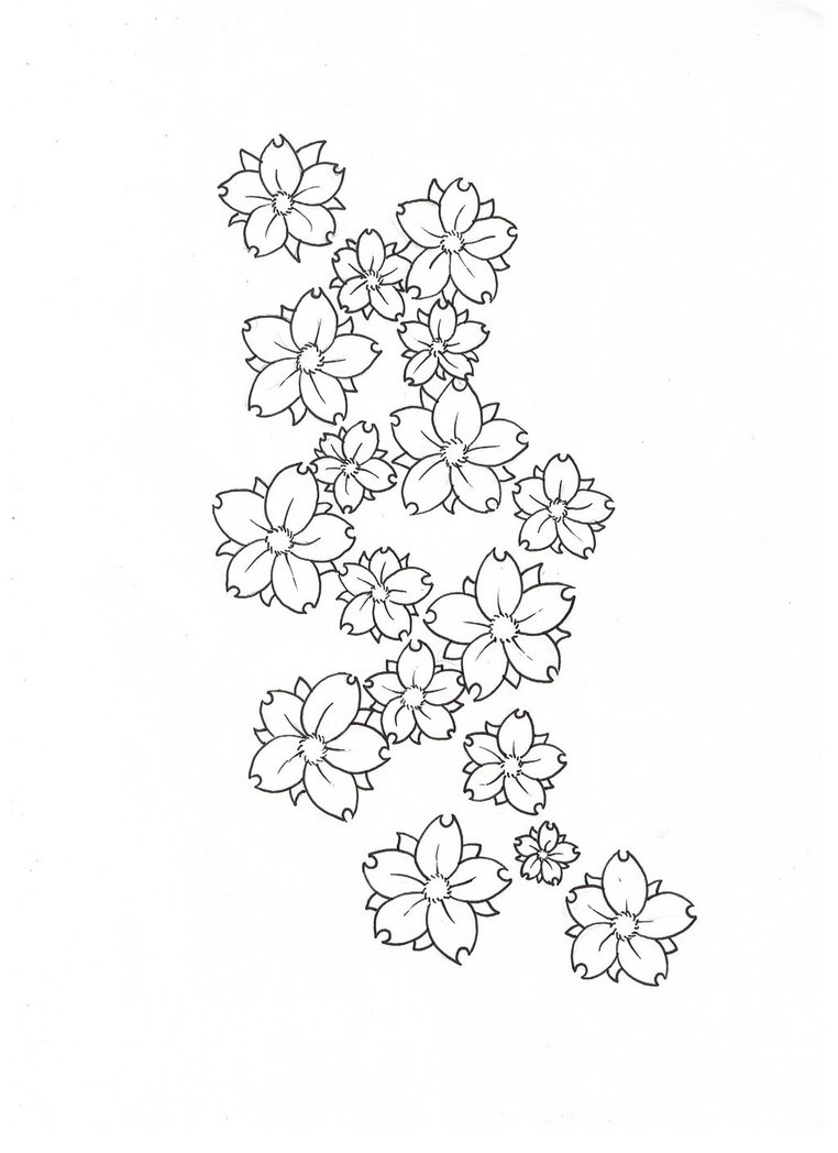 762x1048 Blossom Flower Drawing Blossom Cherry Blossomsakura