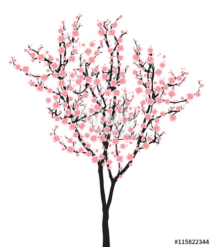 Sakura Tree Drawing at GetDrawings | Free download