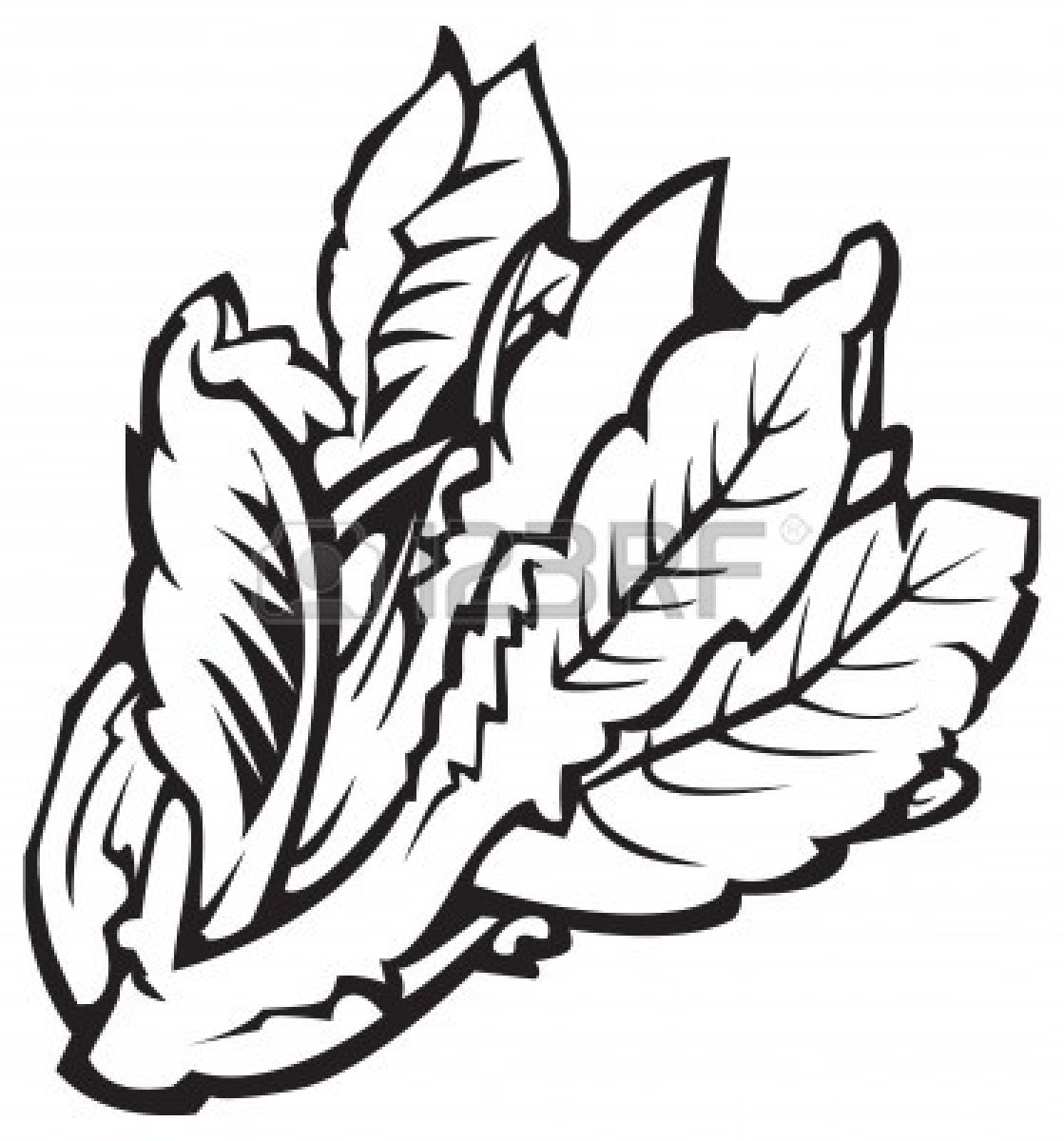 1119x1200 Salad Clip Art Black And White Clipart Panda