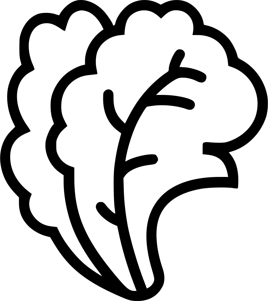 872x980 Salad Svg Png Icon Free Download ( 482961)