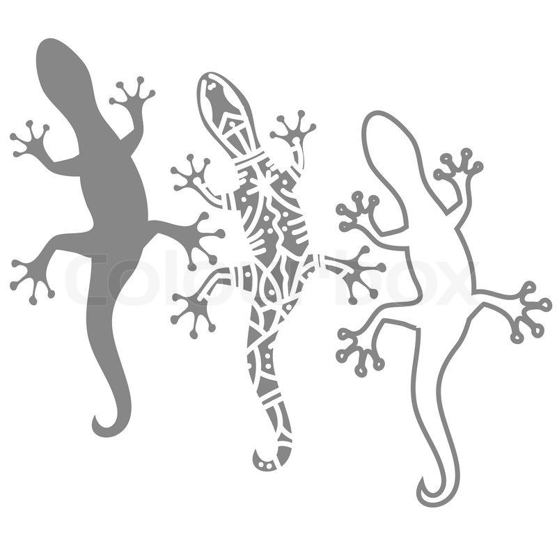 800x800 Illustration With Silhouettes Of Salamander On White Background