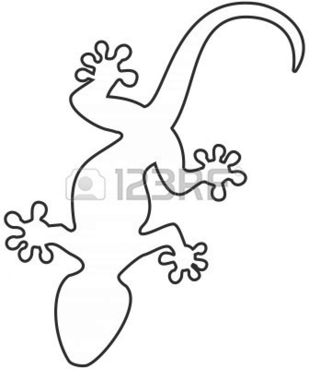 1008x1200 Lizard Outline With 17 Best Images About What Color Is Your