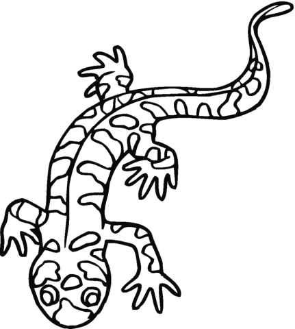 431x480 Tiger Salamander Coloring Page Free Printable Coloring Pages