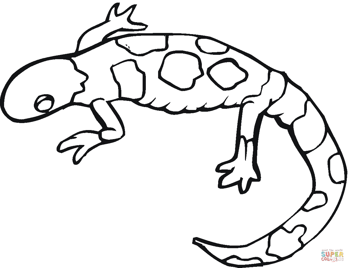 1200x919 Yellow Spotted Mole Salamander Coloring Page Free Printable