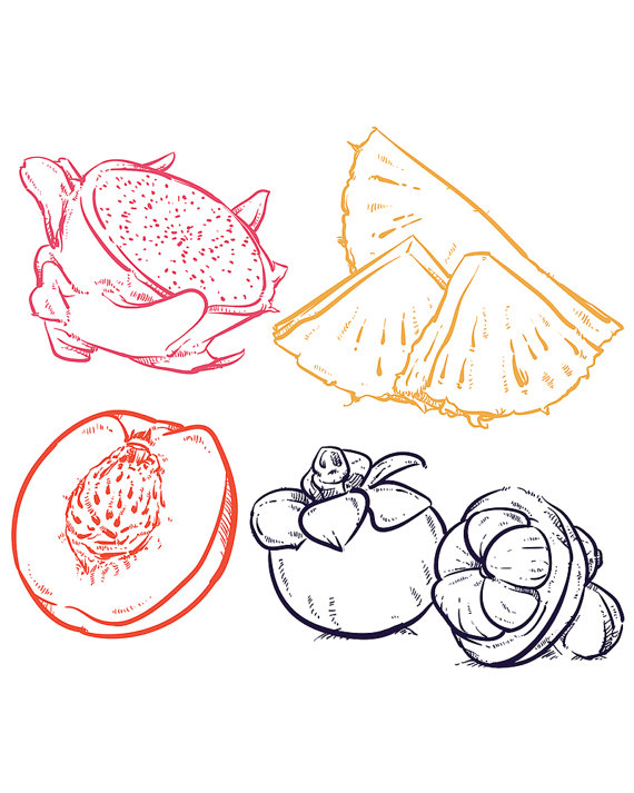 570x713 80% Off Sale Drawing Pineapple Slices Isolated. Dragon Fruit Hand