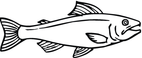 480x196 Salmon 12 Coloring Page Free Printable Coloring Pages