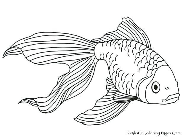 618x464 Salmon Coloring Page Salmon Coloring Pages Printable Synthesis.site