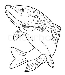 275x320 Salmon Vintage Engraving Stock Vector Colourbox