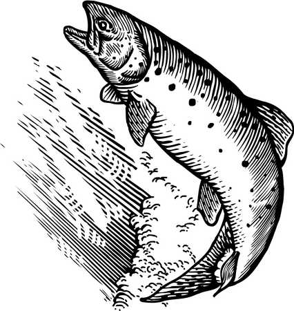 426x450 Stock Illustration