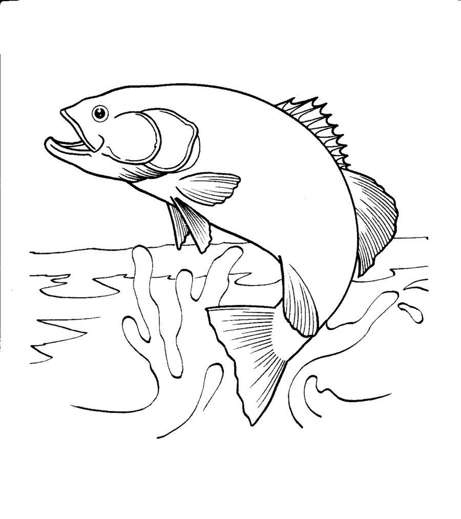 900x1014 Salmon Jumping Out Of Water Coloring Page