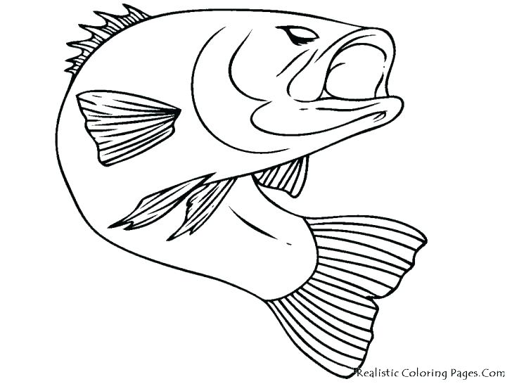 728x546 Salmon Coloring Pages Printable Fish Chinook Sal On Cross Coloring