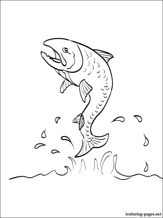 560x750 Coloring Pages Graceful Salmon Coloring Pages Salmon Coloring