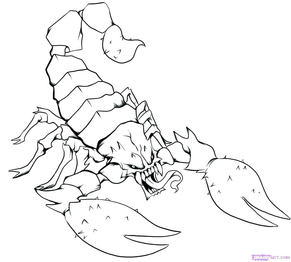 974x875 Coloring Salmon Coloring Pages Large Size Of To Draw Scorpions