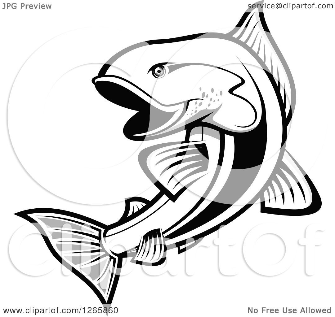 1080x1024 Clipart Of A Black And White Salmon Fish