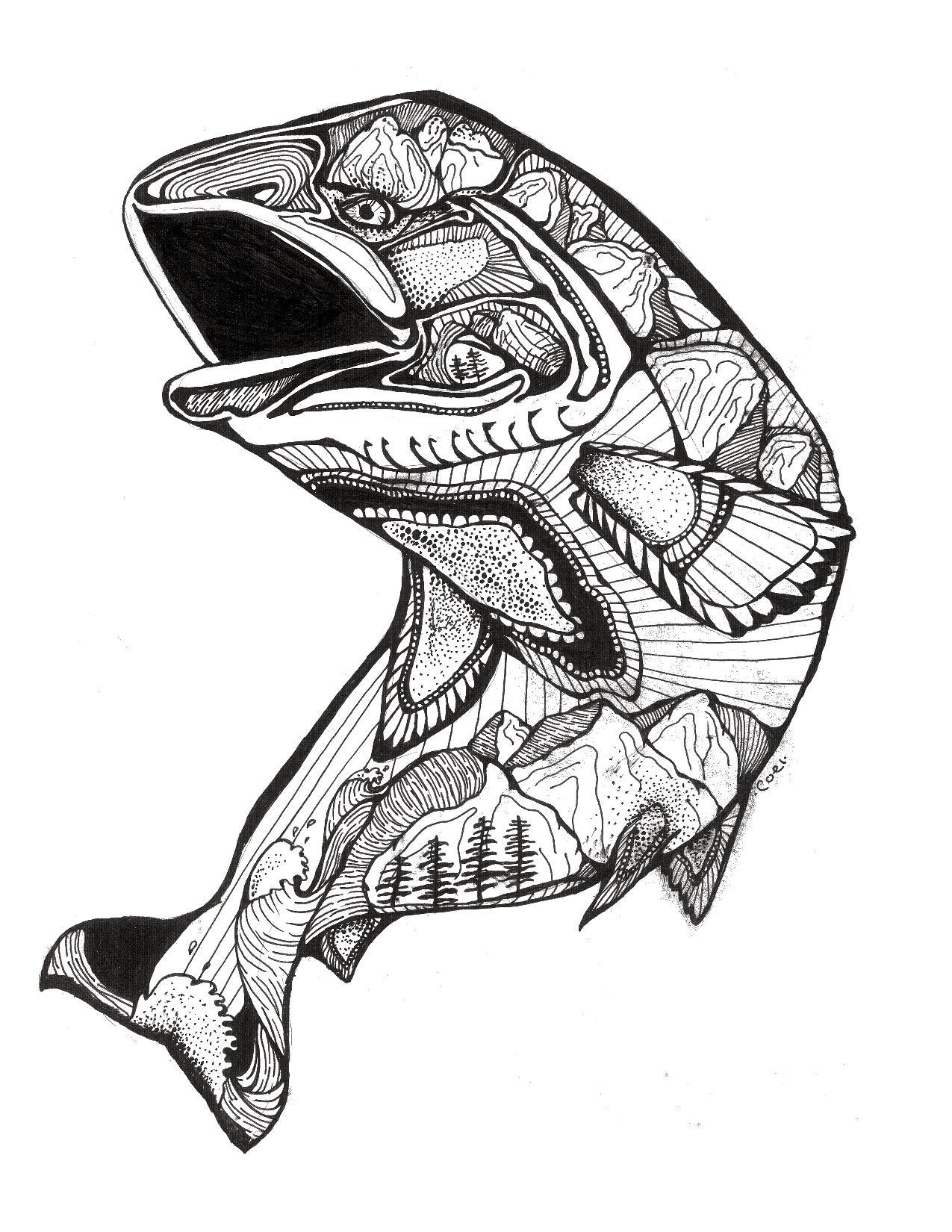 1275x1650 Salmon Of The Mountains Coastal Peace Designs