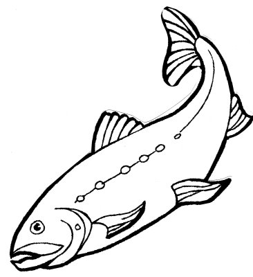 366x400 Seafood Archives