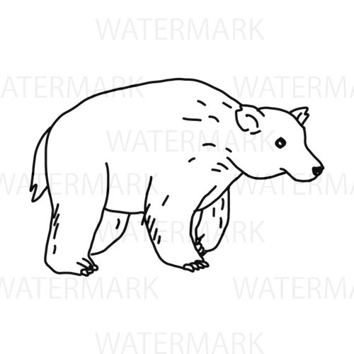 500x500 Animal Cute Bear Line Drawing Mountain Salmon Fur Cute Aggressive