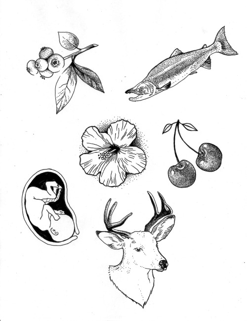 500x650 Salmon Tattoo Tumblr