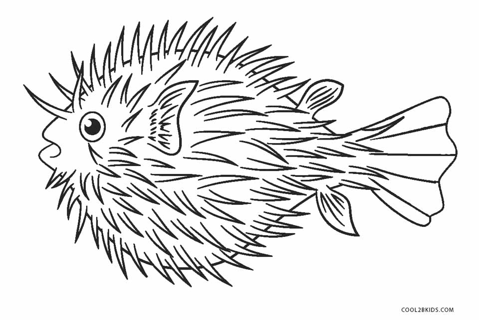 960x642 Free Printable Fish Coloring Pages For Kids Cool2bkids