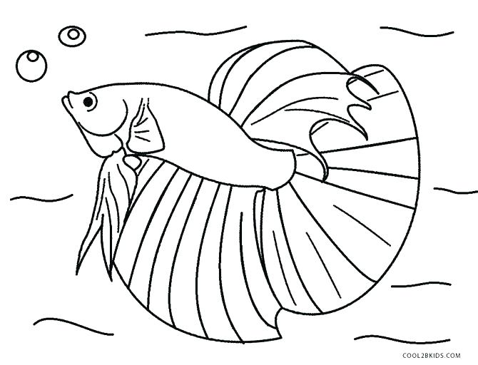 670x512 Realistic Fish Coloring Pages Great Realistic Fish Coloring Pages