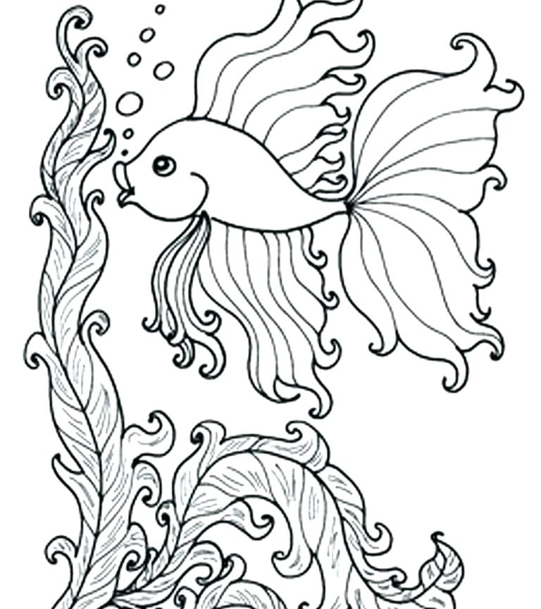 Saltwater Fish Drawing at GetDrawings | Free download