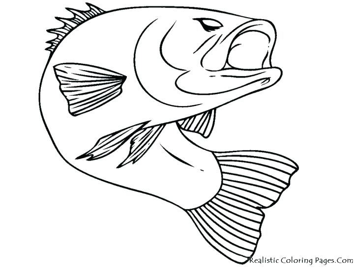 728x546 Realistic Fish Coloring Pages This Is Fish Color Pages Pictures