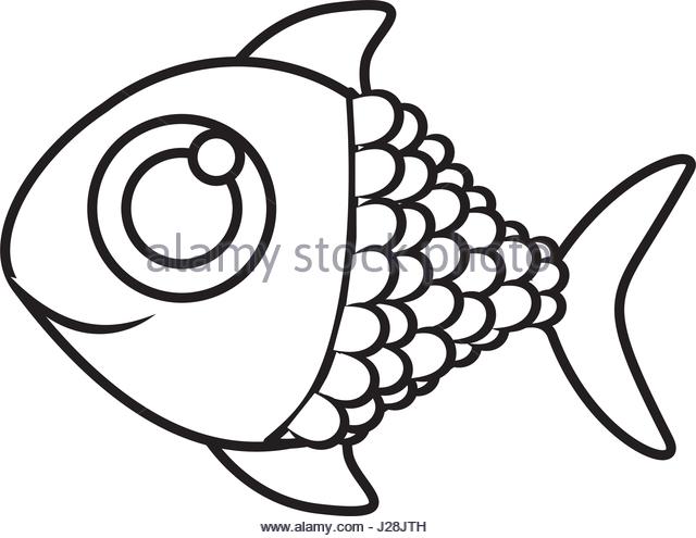 640x495 Saltwater Fish Black And White Stock Photos Amp Images