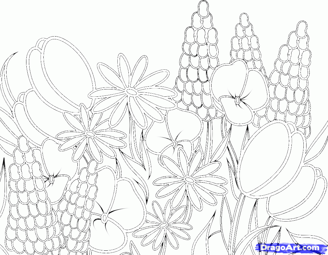 1067x830 Drawn Elower Spring Flower