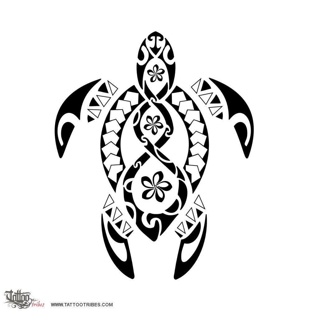 1000x1000 20 Traditional Samoan Tattoo Designs And Meanings Turtle, Tattoo