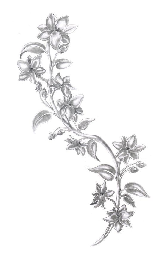 564x871 Flower Drawing In Text Best Drawing Sketch Ideas Drawing Ideas