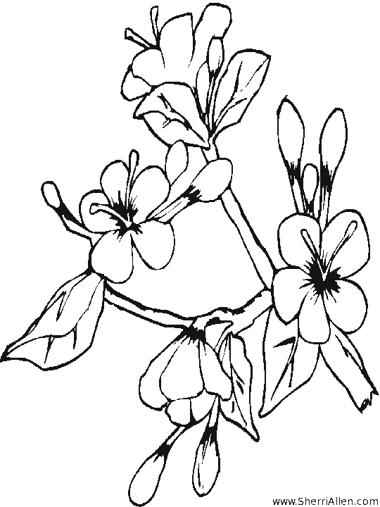 540x720 Free Seasonal Coloring Pages