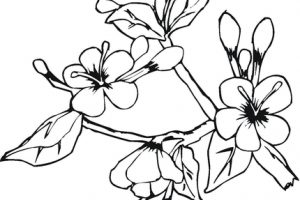 300x200 S Clipart Download Clipart Station Page 1408