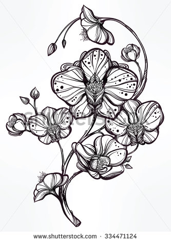 333x470 Vintage Floral Highly Detailed Hand Drawn Orchid Flower Stem