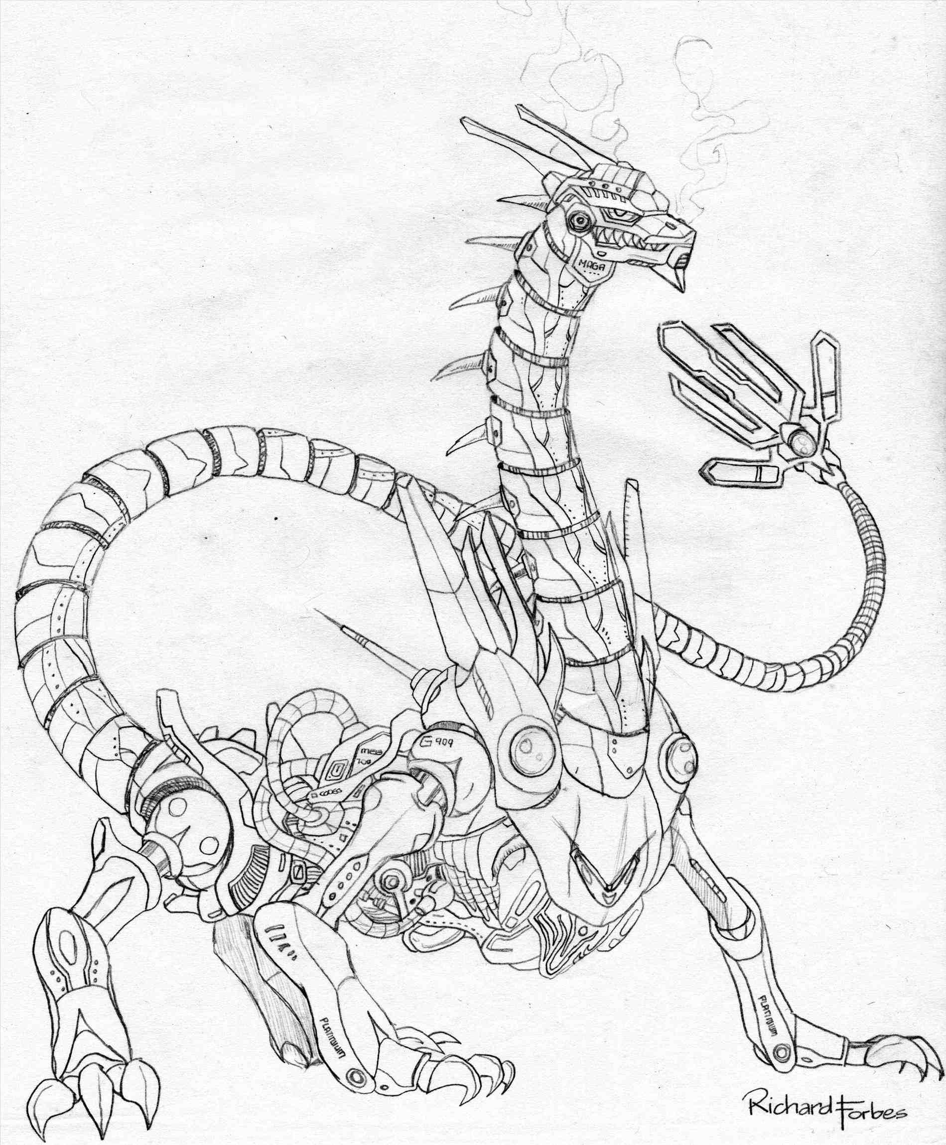 1899x2299 Drawings Of Dragons And Skulls To Draw Skull Tribal Tattoo Youtube