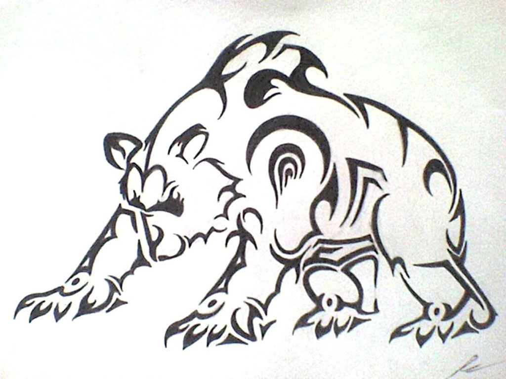 1024x768 Collection Of Tribal Angry Bear Tattoo Designs