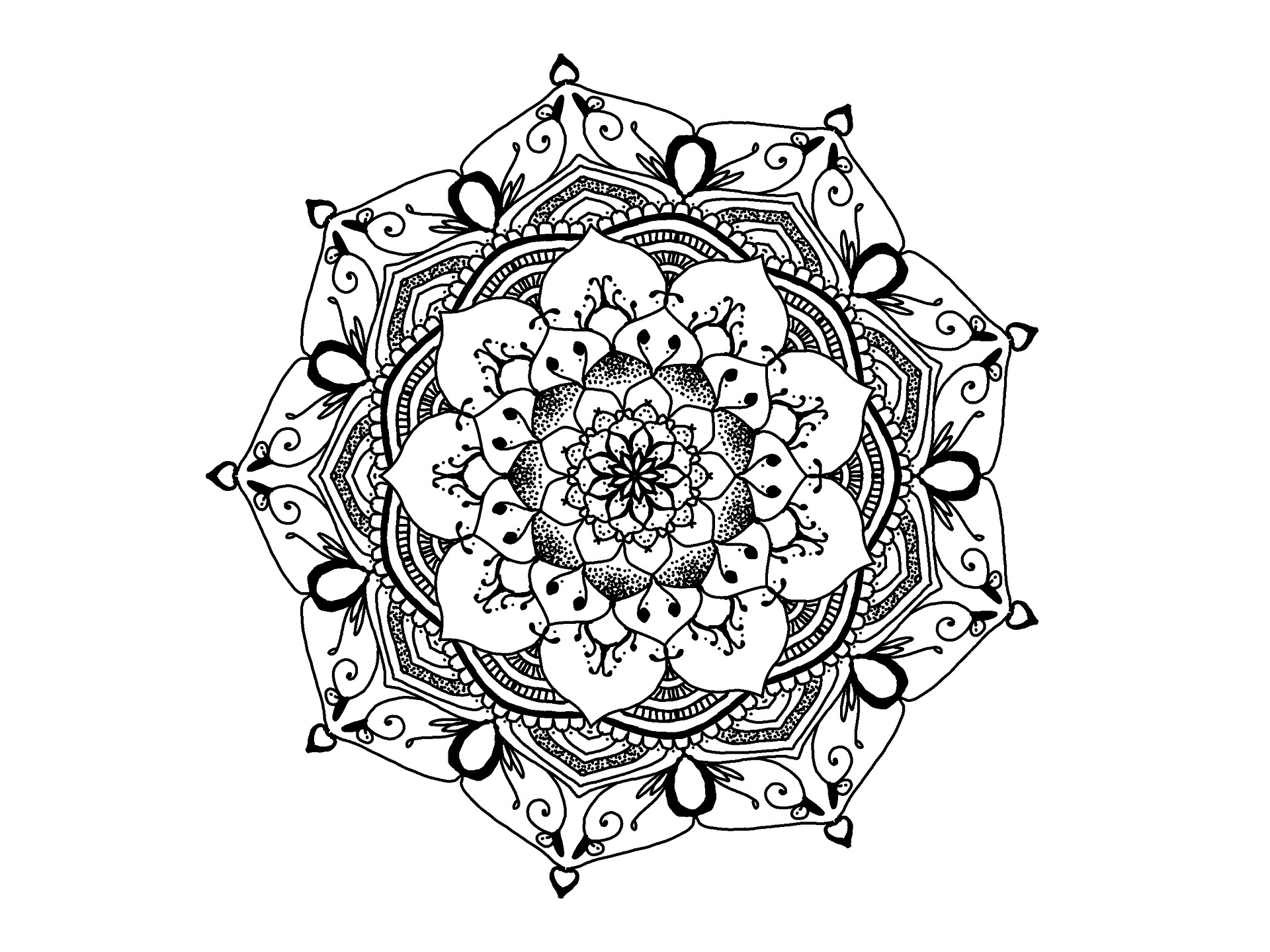 1920x1439 Zentangle! San Diego Public Library