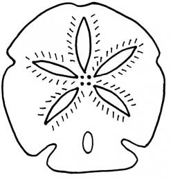 250x260 Sand Dollar 3 Stenciling, Google And Searching