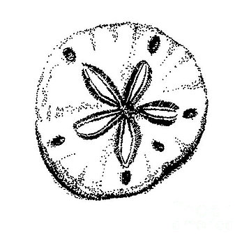 357x350 Shelley Myers