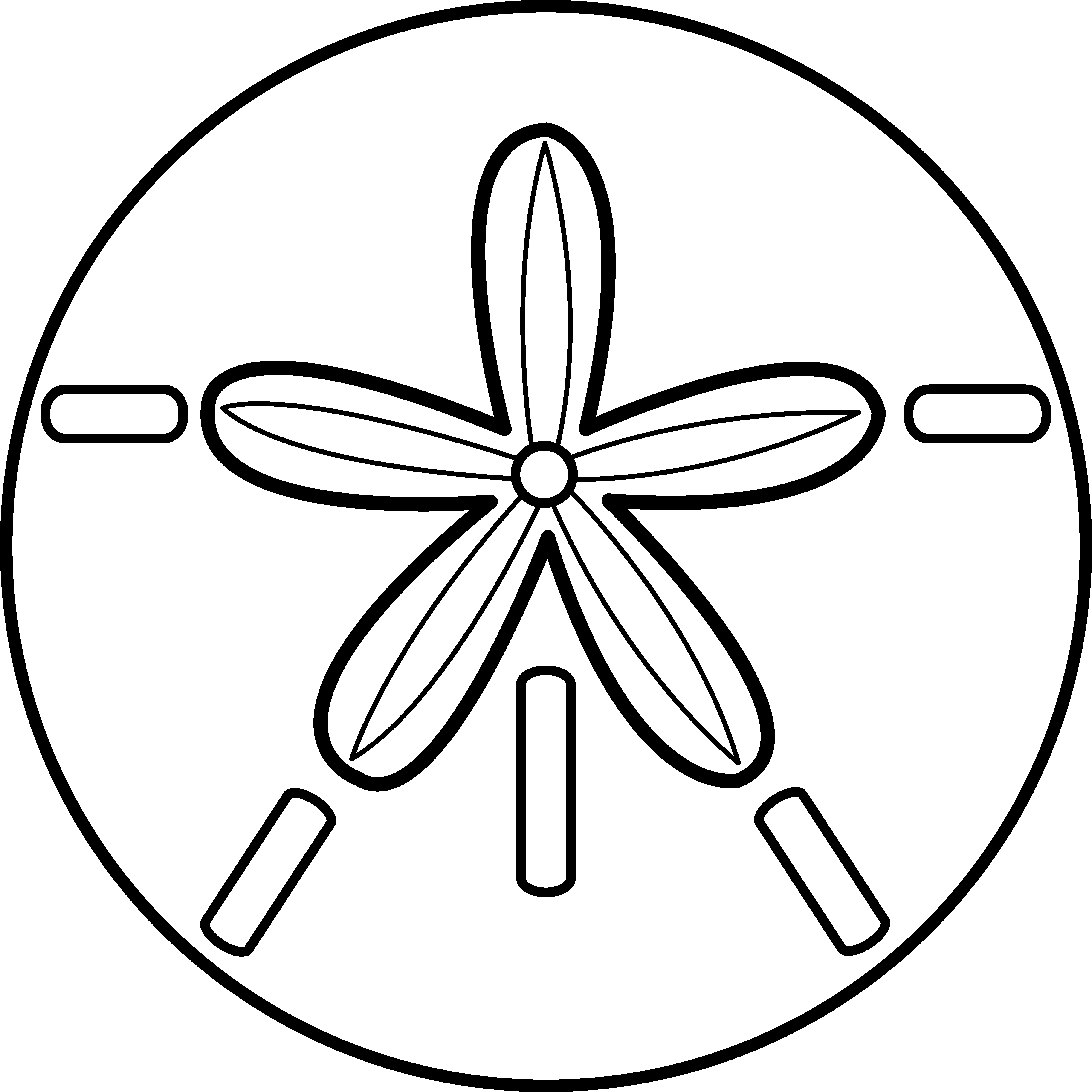 4745x4745 Black And White Sand Dollar