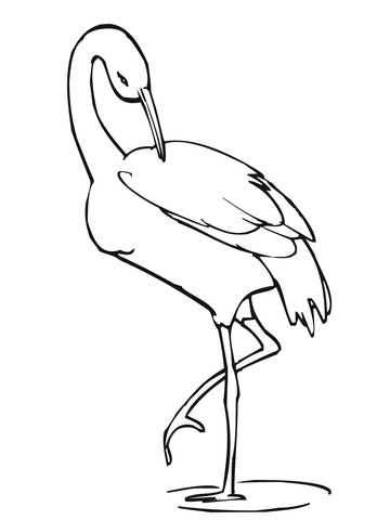 360x480 Crane Stands On One Leg Coloring Page Free Printable Coloring Pages