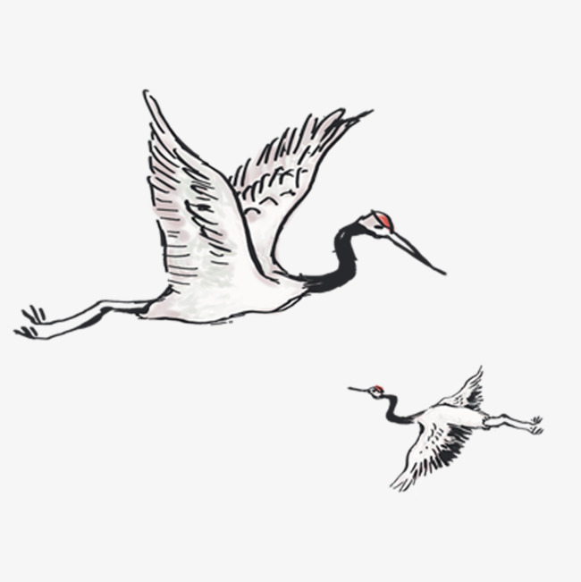 Sandhill Crane Drawing at GetDrawings | Free download